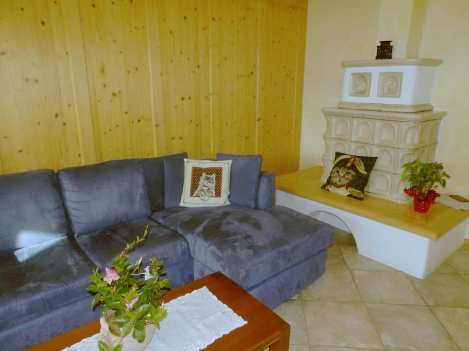 Ciasa Gran Panorama Moena Daire Dış mekan fotoğraf